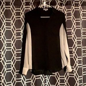 Express sheer button up blouse